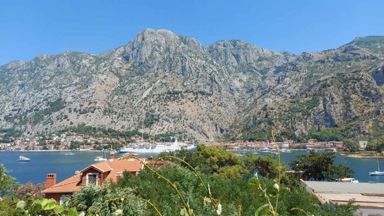 Appartement M&b Kotor