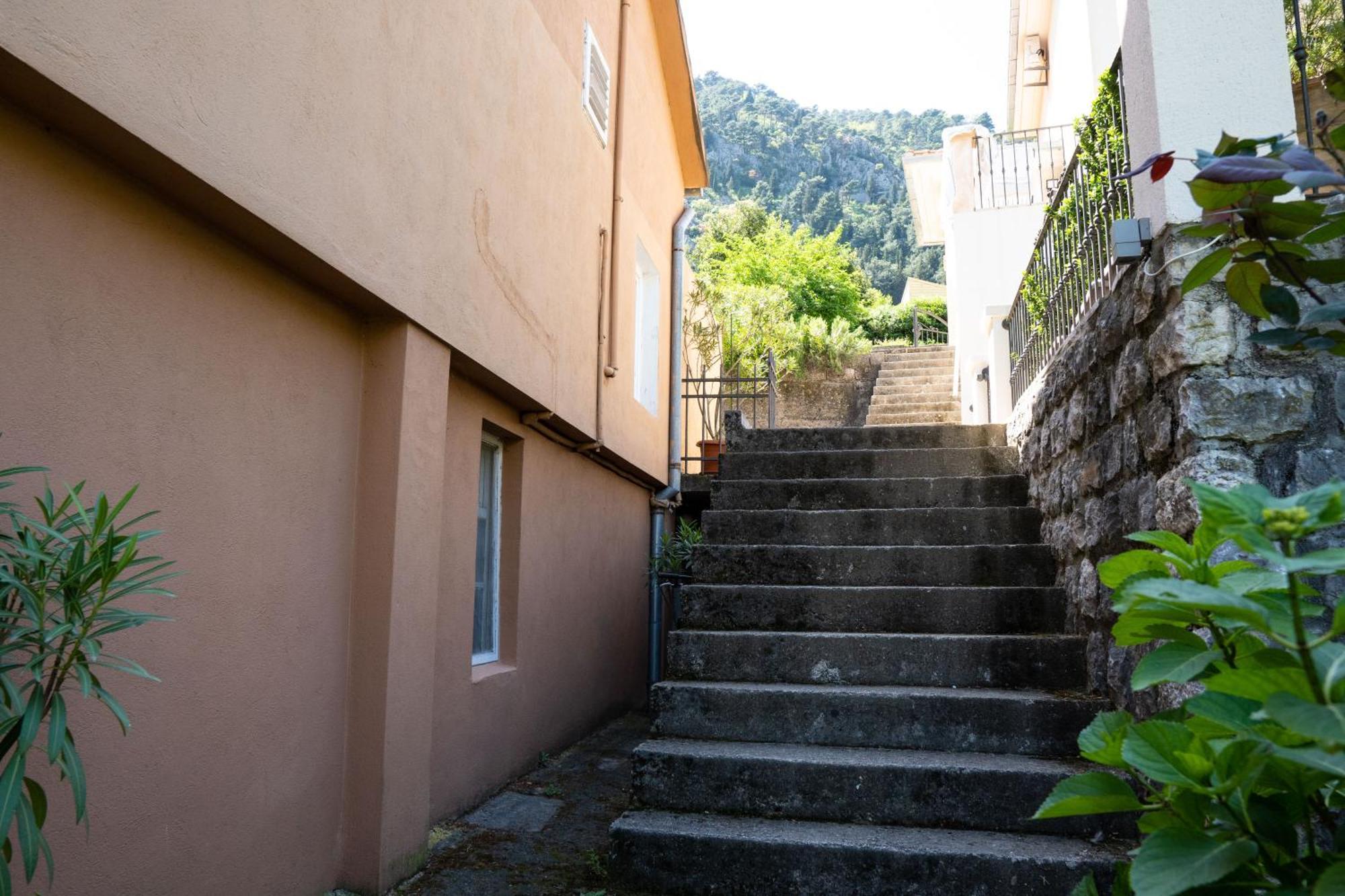 M&b Kotor